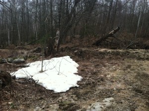 snow at mollys meadow