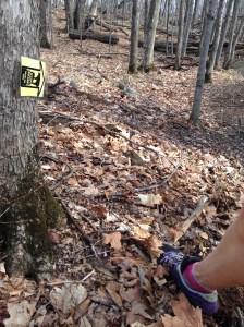 Entering ascent to King of the Mountain summit