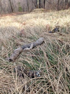 KOM marks terriority