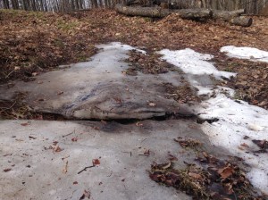 Saving it's mud for later.