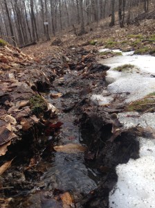 Stream goes for a test run.