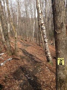 Some parts of the course are looking good!