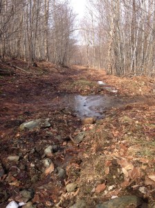 Standing water on 2nd ascent