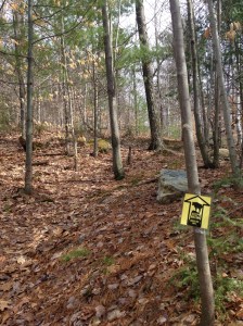 Heading into 3rd loop